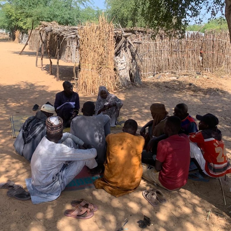 Analyse des causes profondes de la fragilité et de la vulnérabilité des populations des régions de Diffa, Maradi et Tahoua au Niger