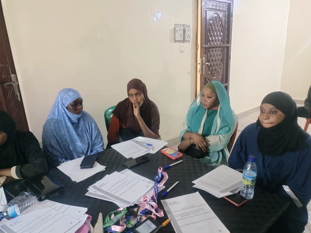 Évaluation de l'accès des femmes au marché du travail au Sahel : analyse des obstacles et des opportunités à partir des témoignages de jeunes femmes